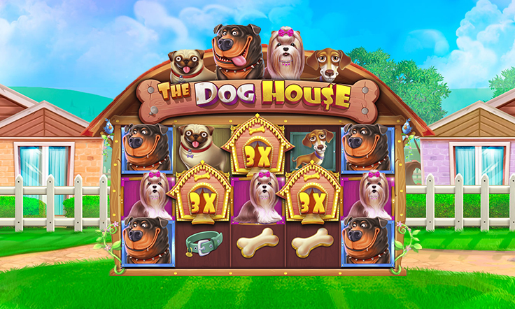 Дог хаус демо dogs house net. Dog House Slot. Doghouse слот. Dog House слот 9:16. Dog House Slot PNG.