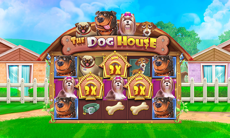 Dog house слот демо dogs house net